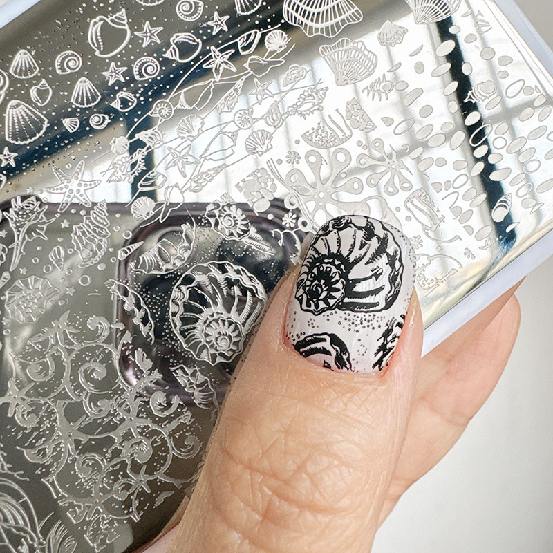 Nail Art Stamping Kit - XMQ 네일 아트 스탬핑 플레이트 오션