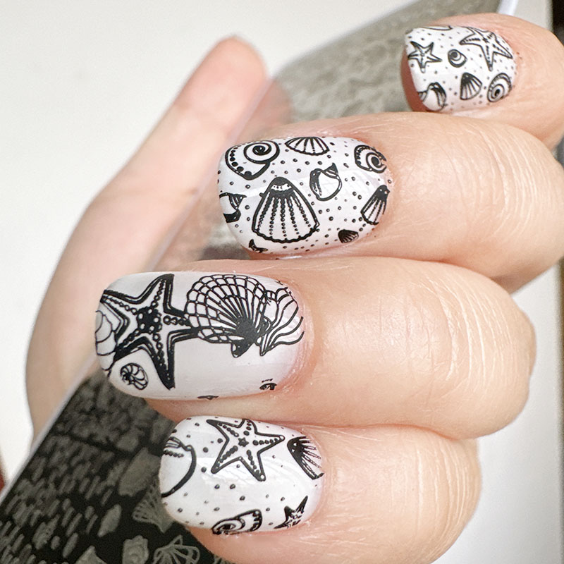 XMQ 네일 아트 스탬핑 플레이트 오션 디자인 여름 템 - Nail Art Stamping Kit 리뷰 및 가격