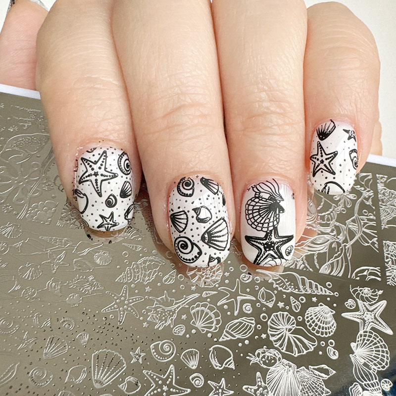 XMQ 네일 아트 스탬핑 플레이트 오션 디자인 여름 템 - Nail Art Stamping Kit 리뷰 및 가격
