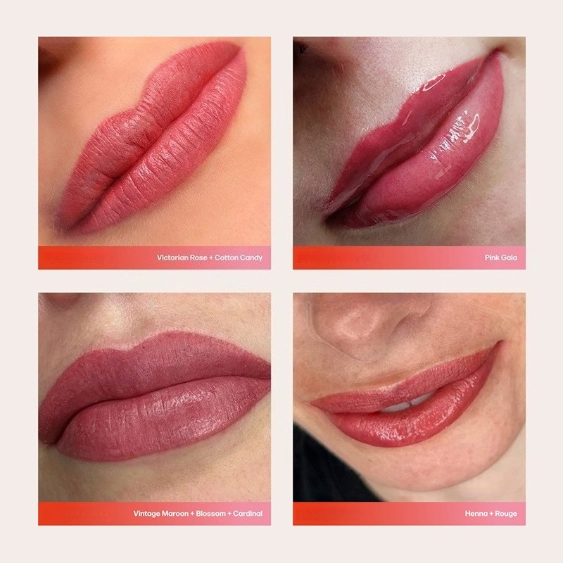 립 반영구 화장 잉크 순수 식물성 마이크로블레이딩 바디 - Beauty Luxe Makeup 리뷰 및 가격